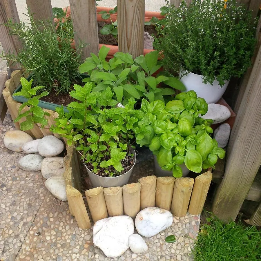 Casa Del Sole Apartments With Garden 마리나디피사